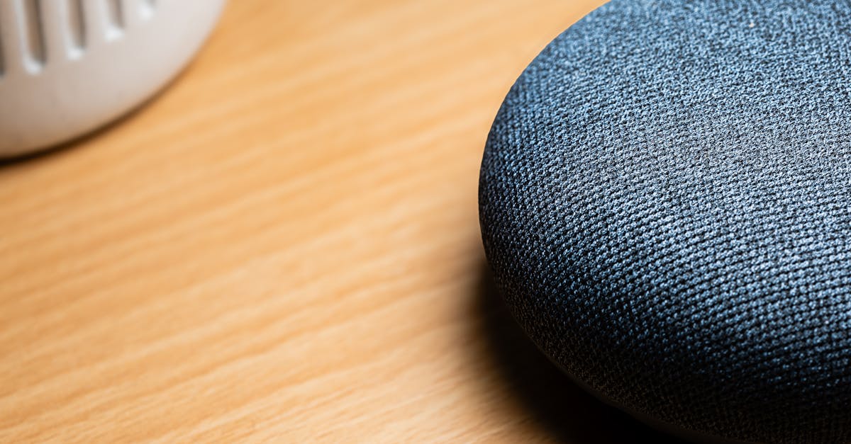 google home